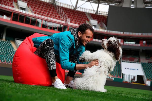 4-месячный щенок – новый талисман сборной Испании. Это невероятно мило!